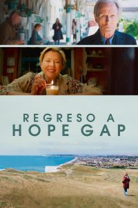 Hope Gap 2019 DVDR R2 PAL Spanish